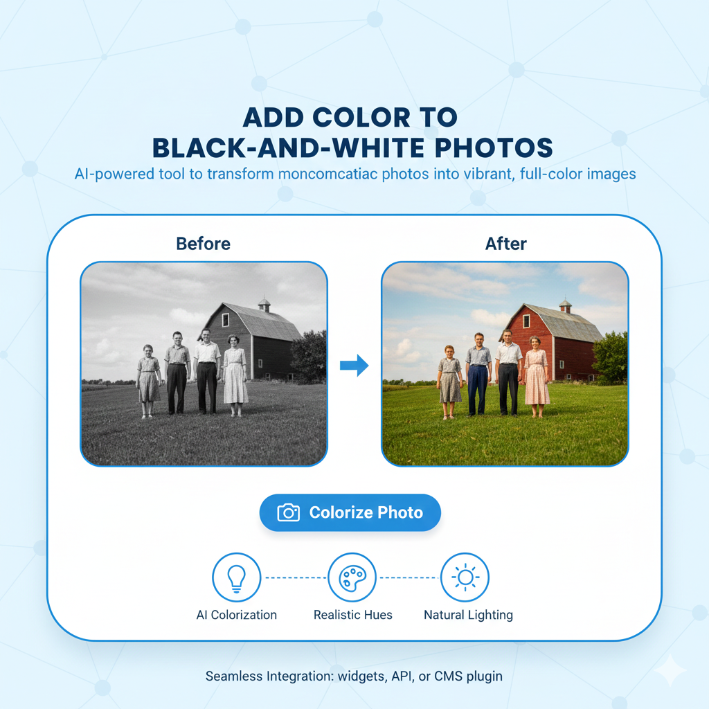 Colorize The Photo tool